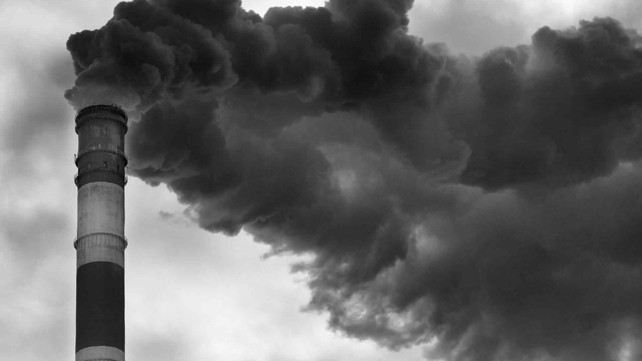 Advocacia de direito ambiental em Piracaia